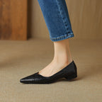 Eveana | Pointed Toe Lambskin Ballet Flats
