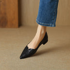 Eveana | Pointed Toe Lambskin Ballet Flats