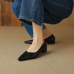 Eveana | Pointed Toe Lambskin Ballet Flats