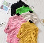 Jorora | Stretch Ribbed Roll Neck Sweater