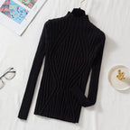 Jorora | Stretch Ribbed Roll Neck Sweater